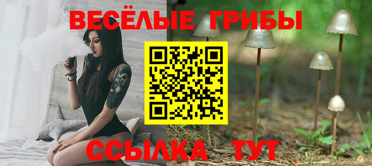 Галлюциногенные грибы Cubensis Ишимбай
